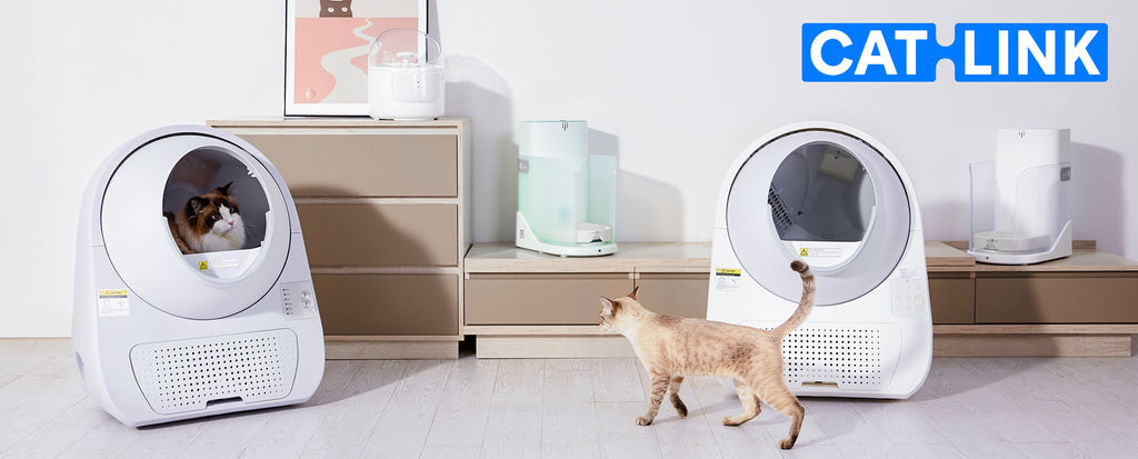 Acerca de CATLINK
