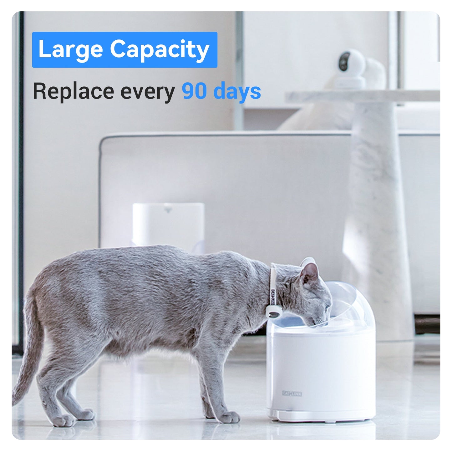 Filtro para bebedero Catlink PURE2