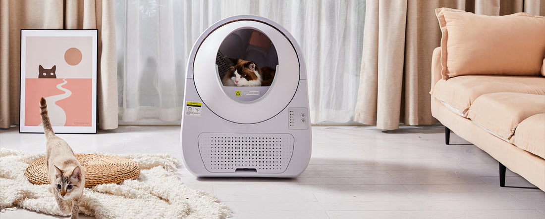 ¿Por qué mi gato orina fuera de la caja de arena?