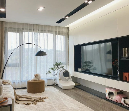 ¿Cómo evito que mi gato orine en casa?