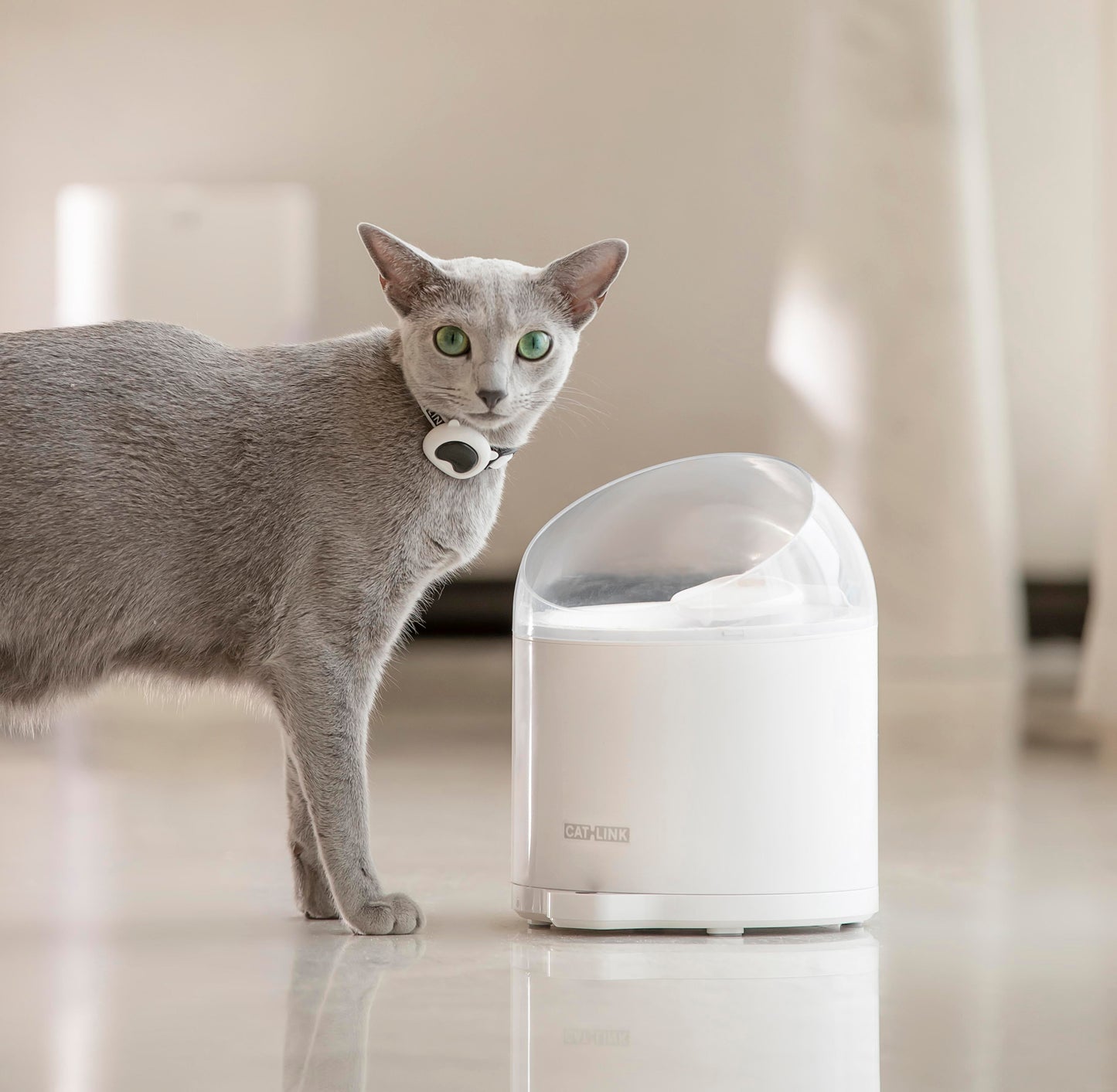 Caja de arena automática + Comedero CATLINK