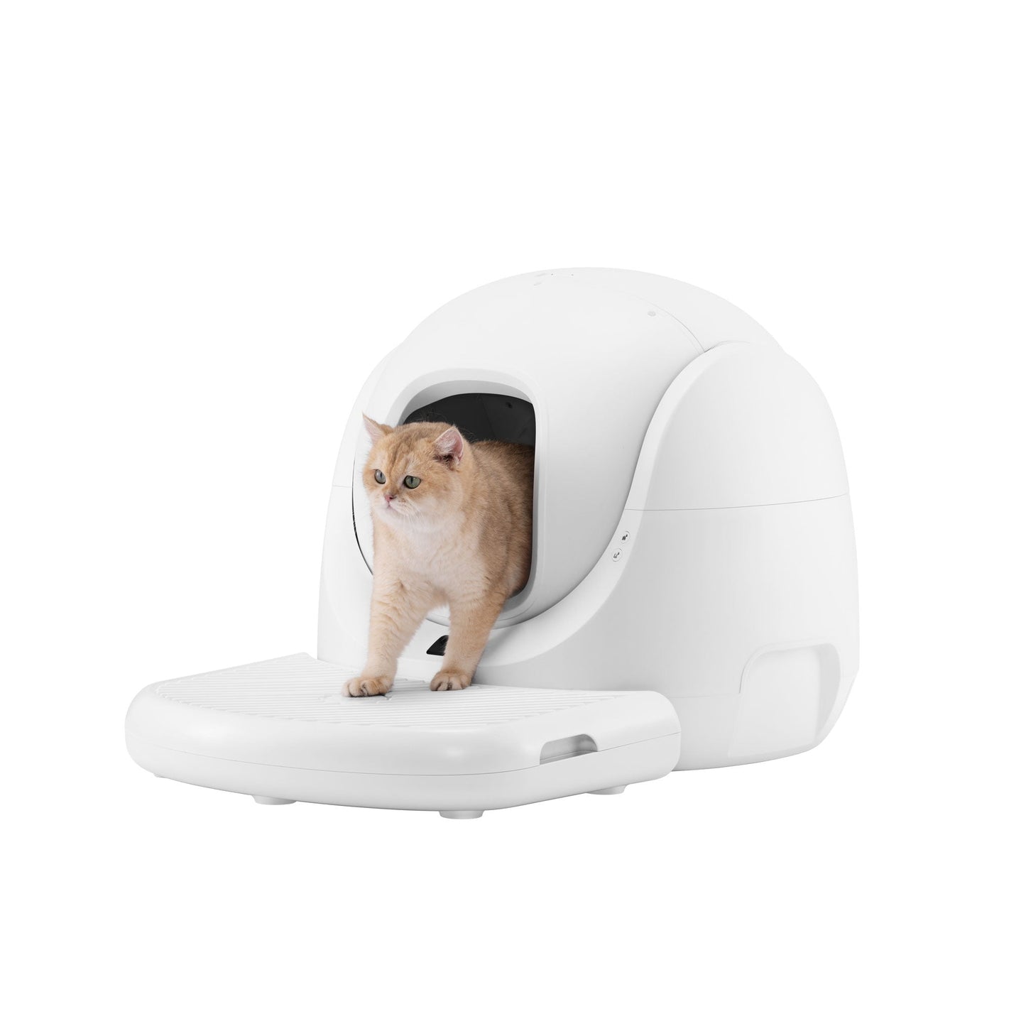 Escalera para CATLINK Baymax SE