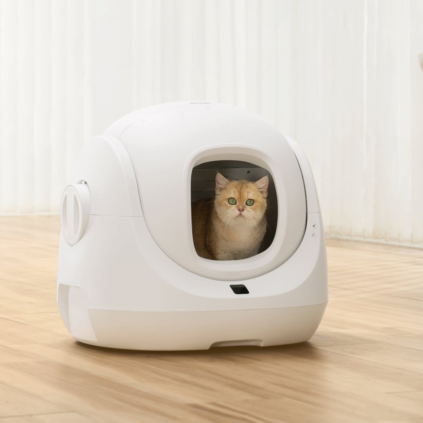 Caja de arena automática CATLINK Baymax SE
