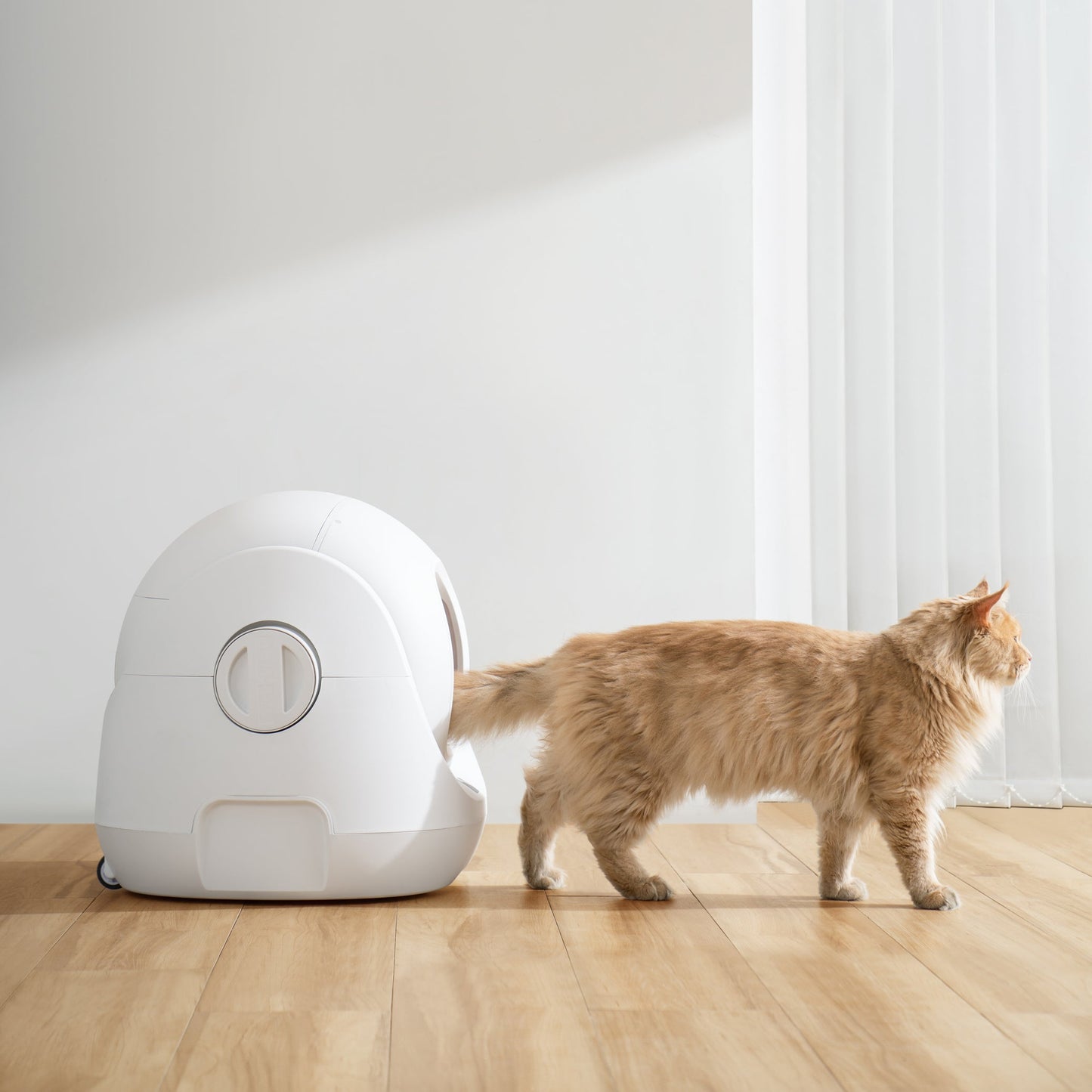 Caja de arena automática CATLINK Baymax SE