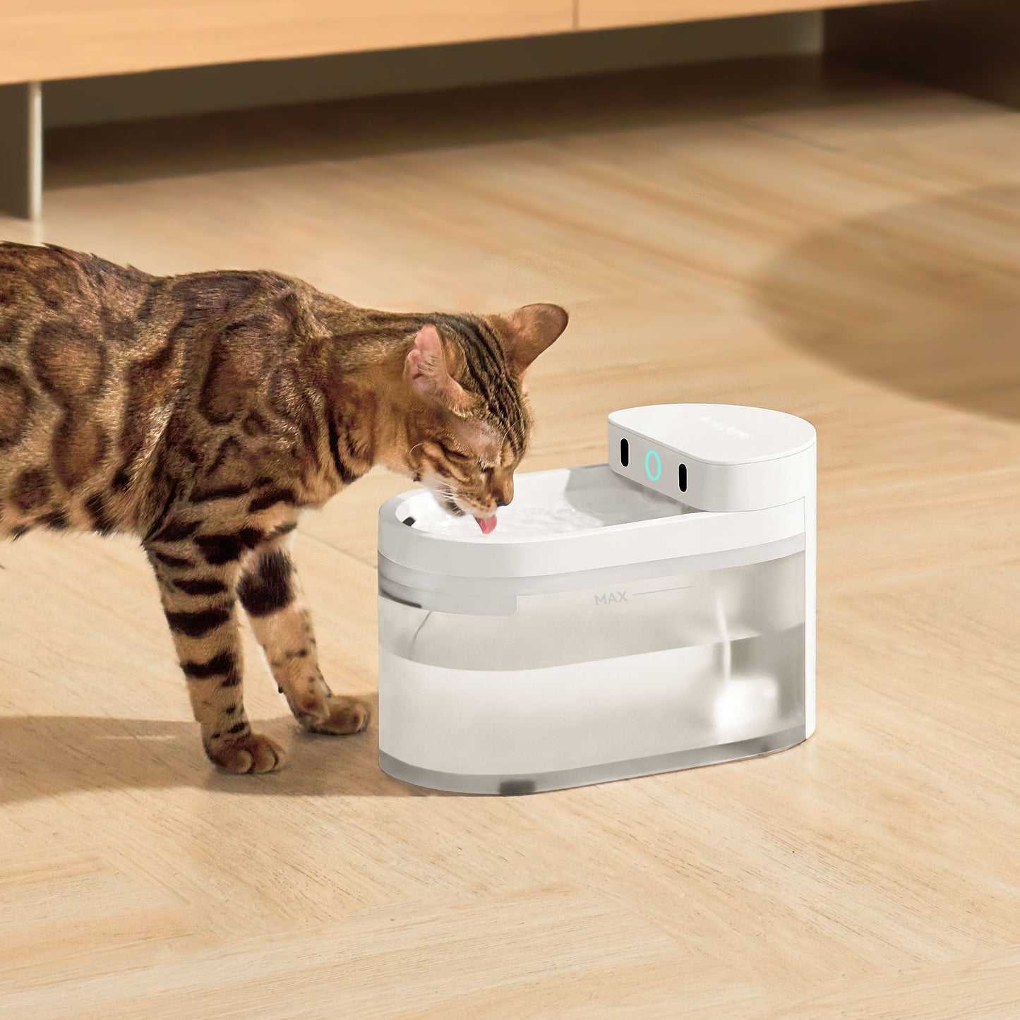 Caja de arena automática + Comedero CATLINK