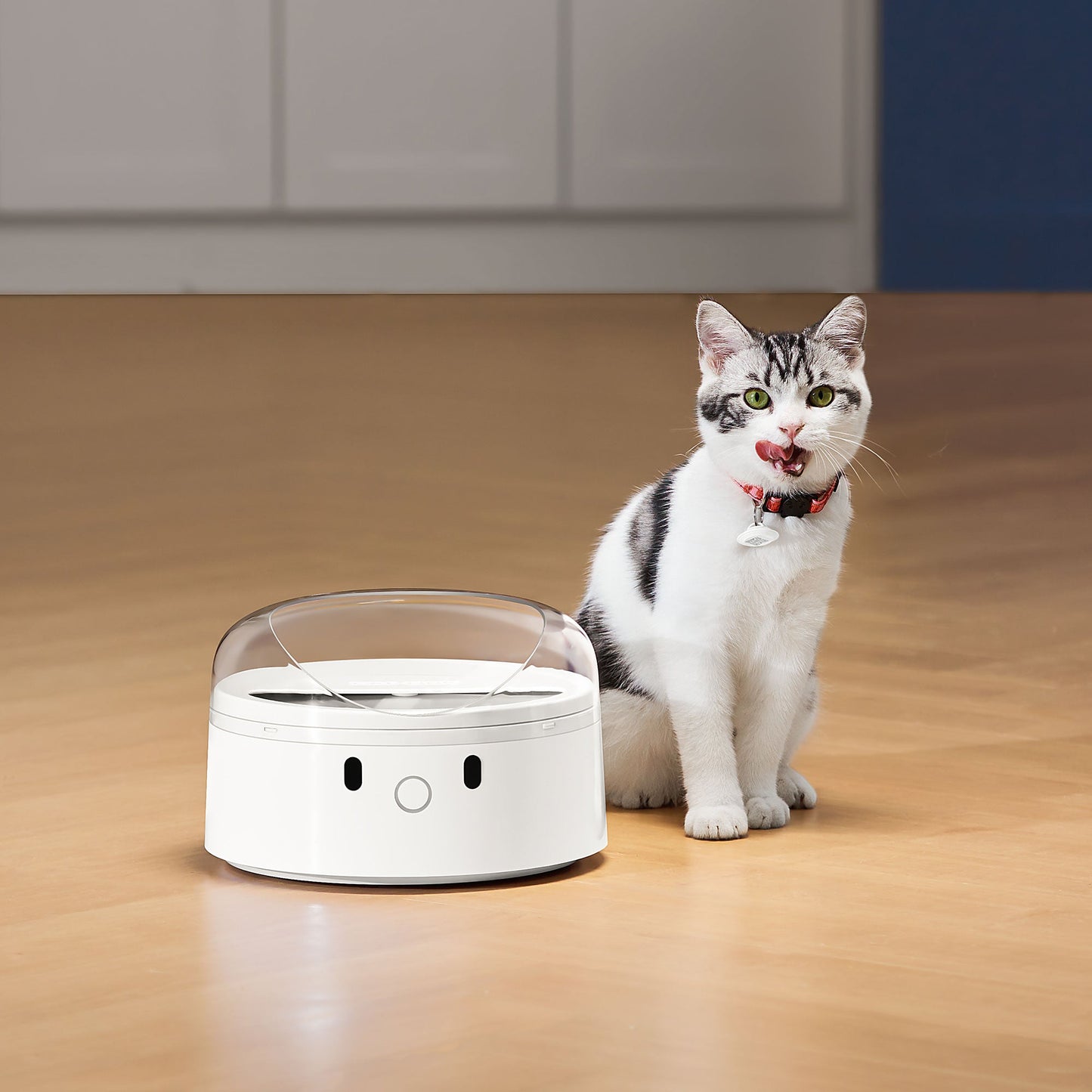 Collar & OVNI Tag - 2 Pack para comederos y bebederos inteligentes CATLINK